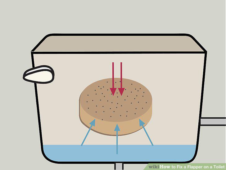 Step 7