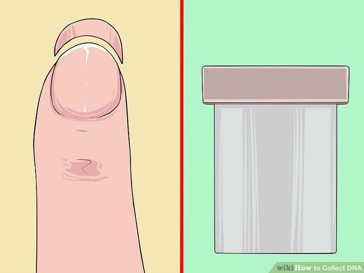 Step 11