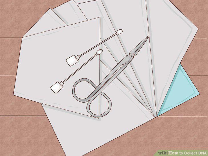 Step 5