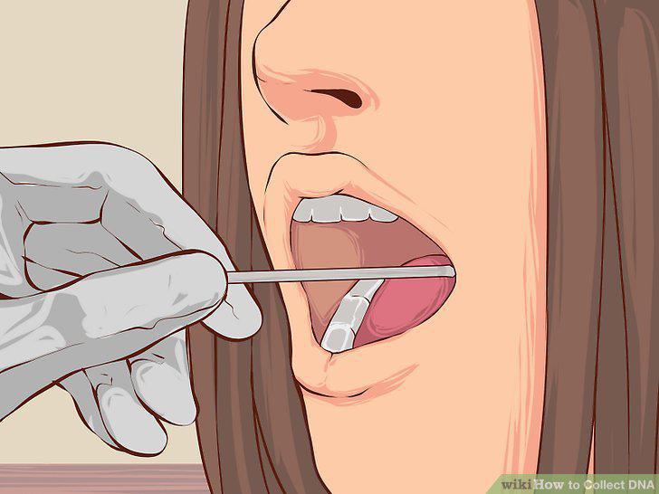 Step 10