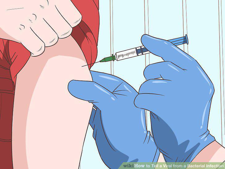 Step 11