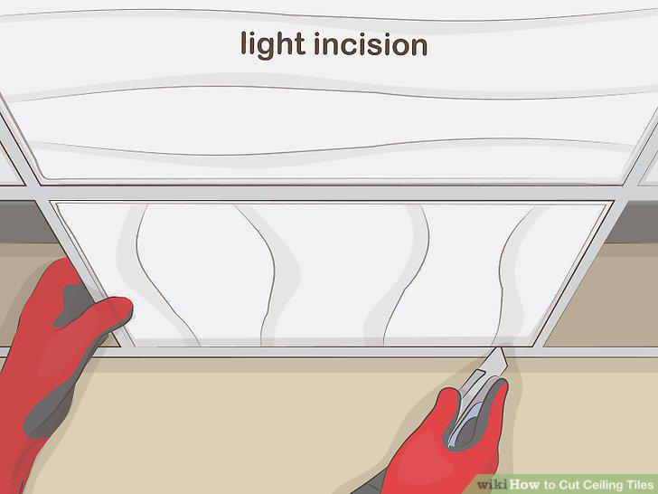 Step 11