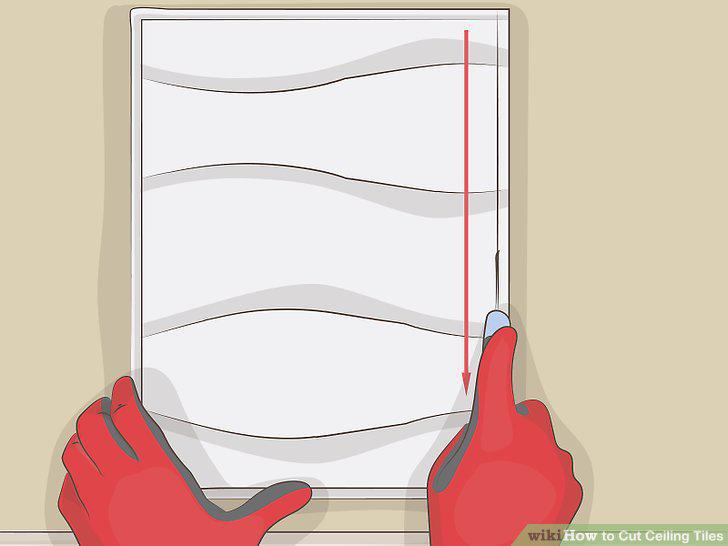 Step 12