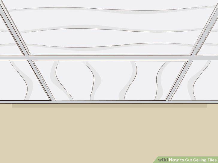 Step 15
