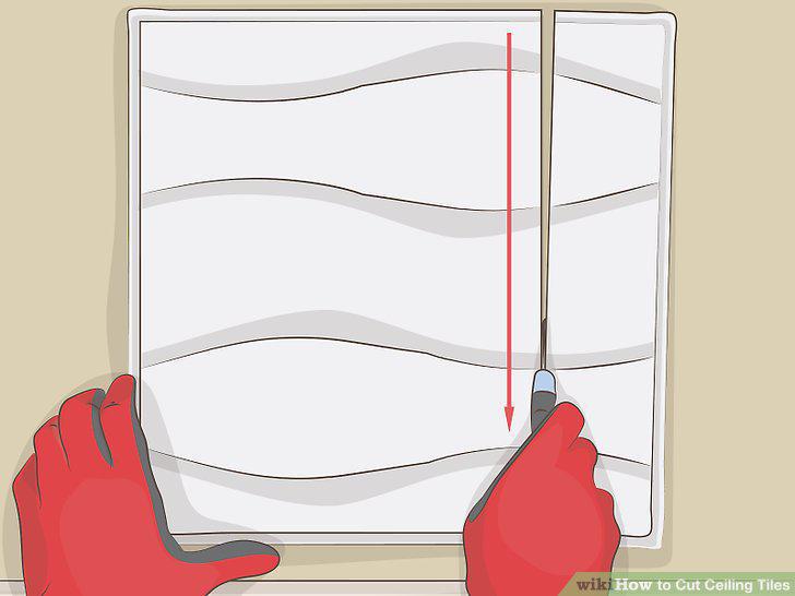 Step 10