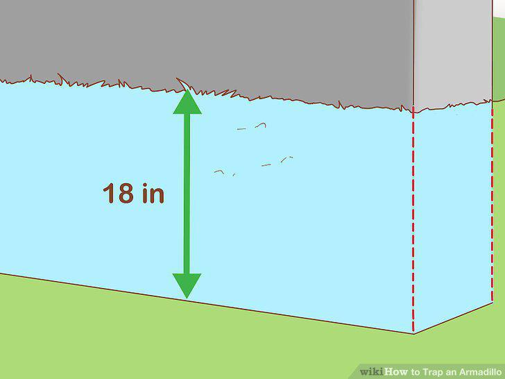 Step 11