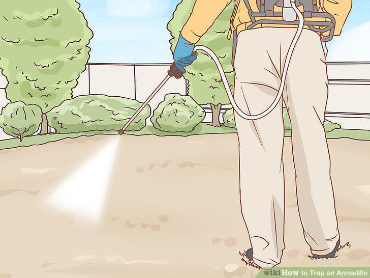 Step 12
