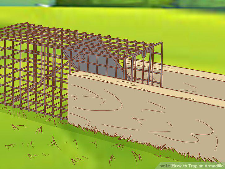 Step 3