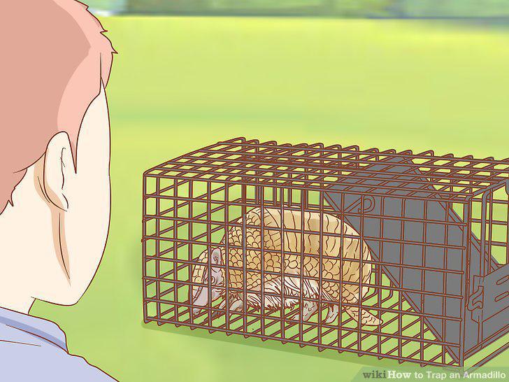 Step 5
