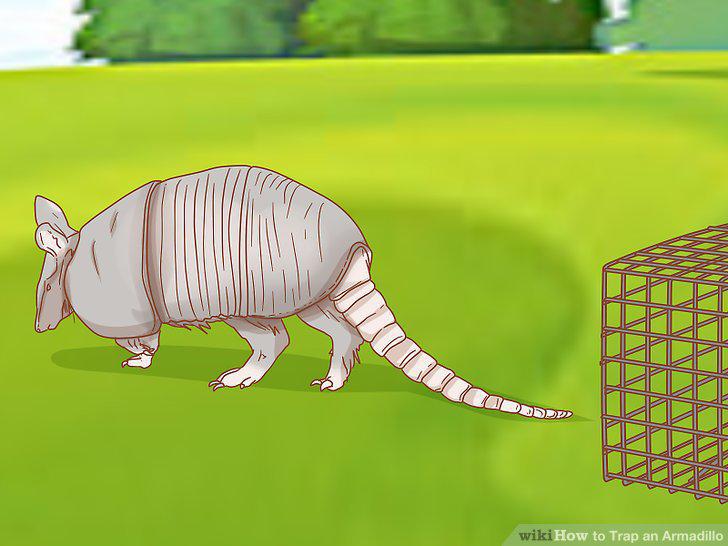 Step 8