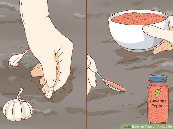 Step 9