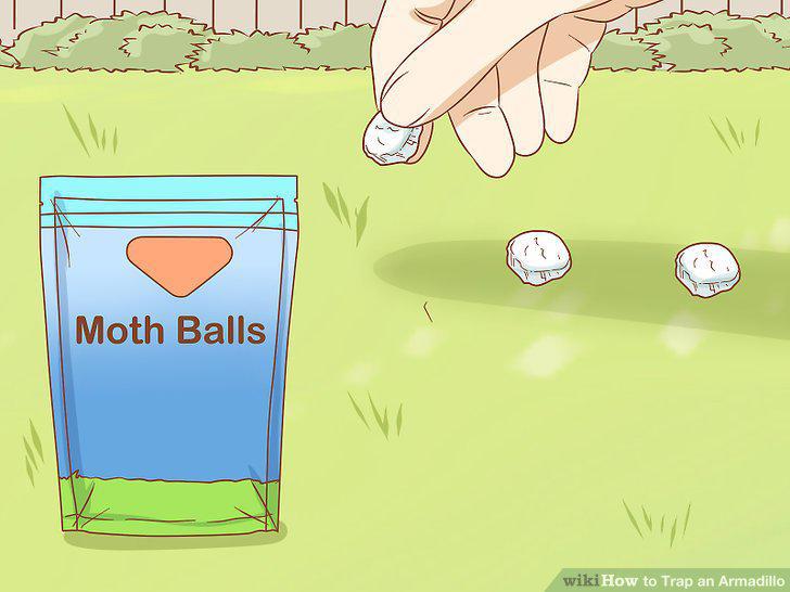 Step 10