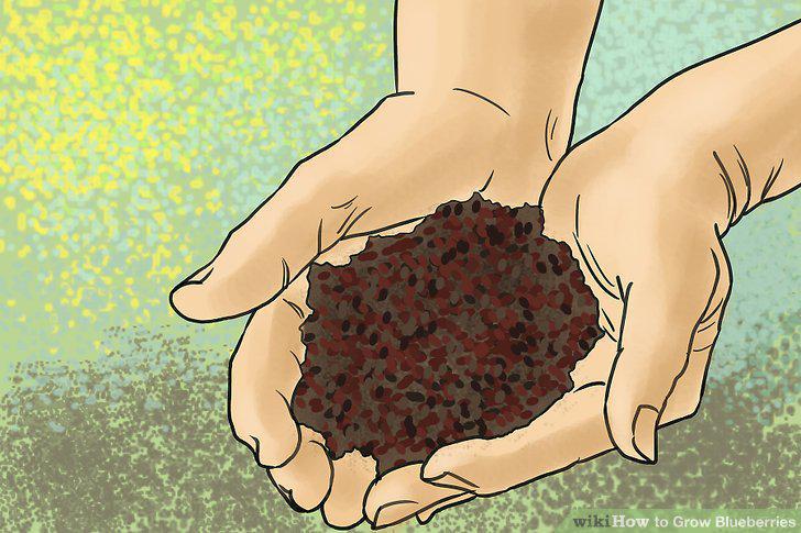Step 12
