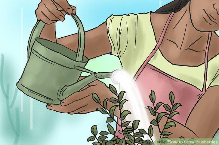 Step 13