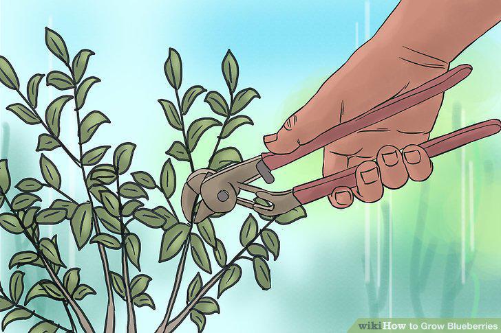 Step 14