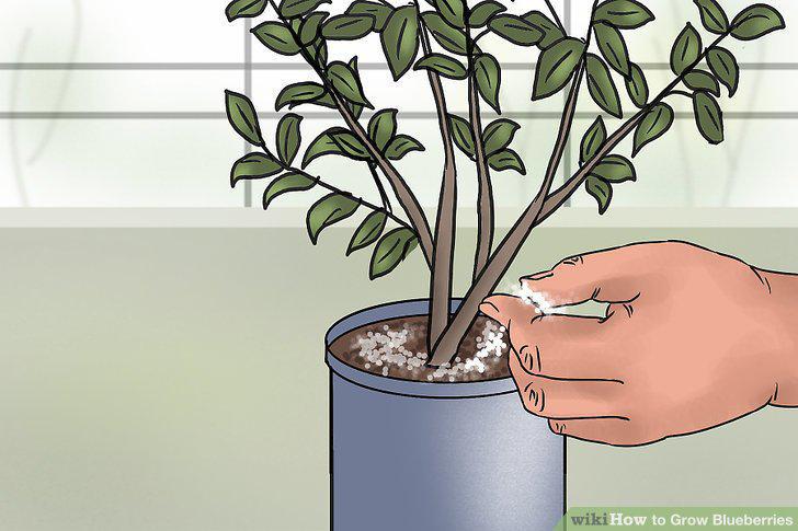 Step 15