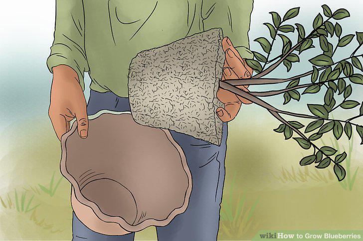 Step 9