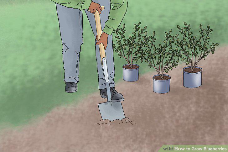 Step 10