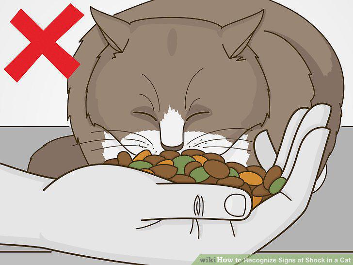 Step 12