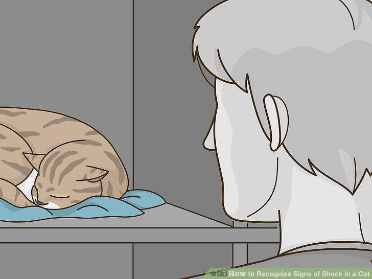 Step 13