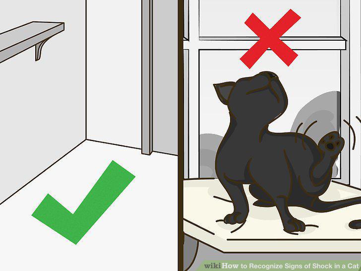 Step 14