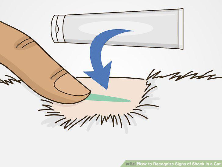 Step 16