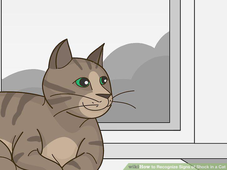 Step 20