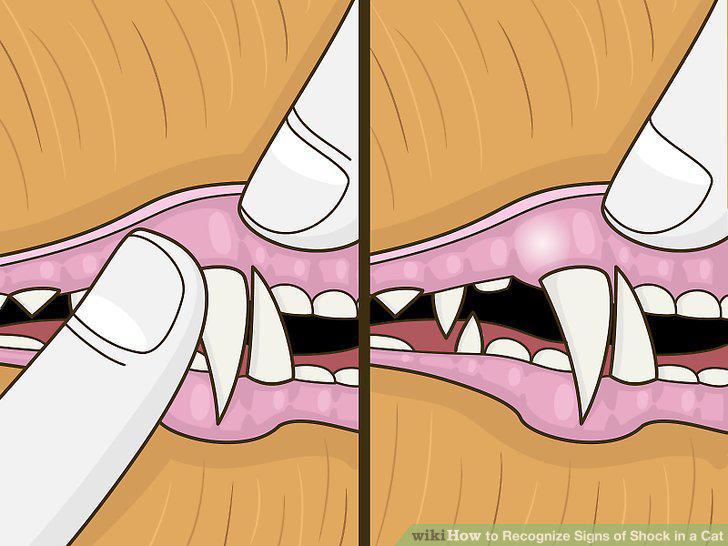 Step 6