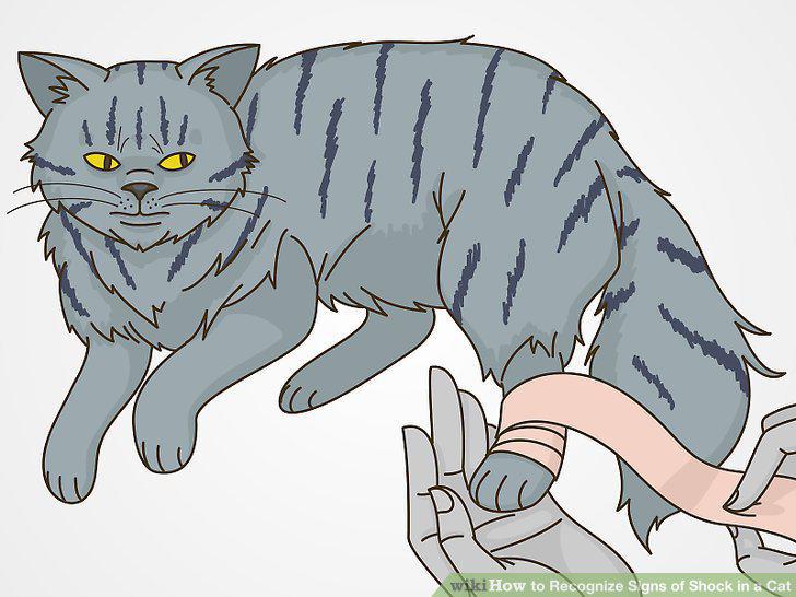 Step 9