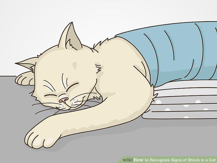Step 10