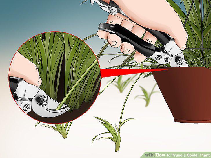 Step 7