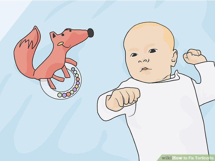 Step 13