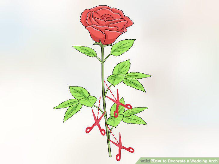 Step 8