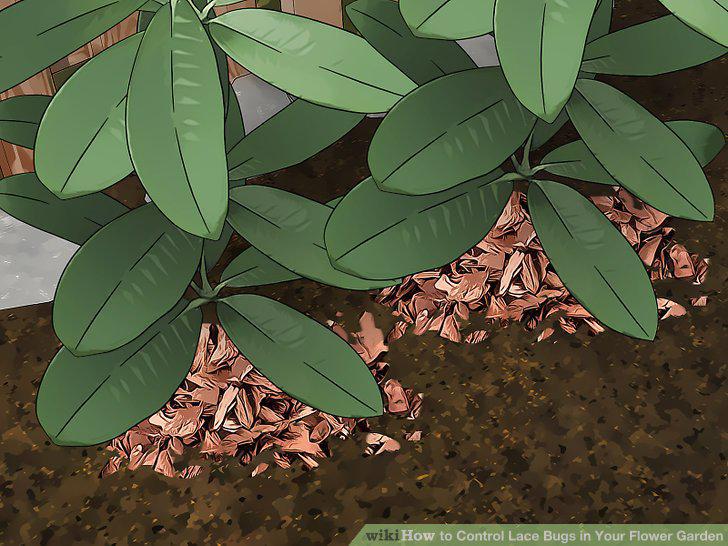 Step 9