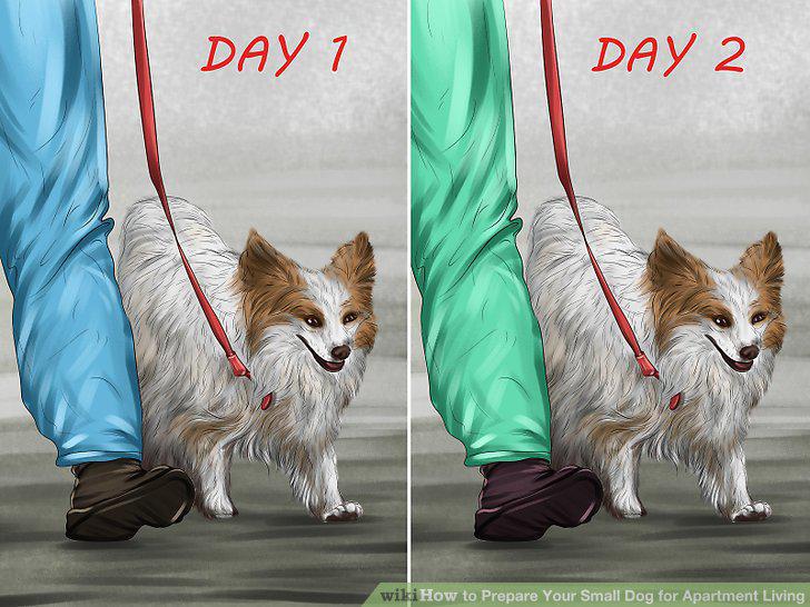 Step 11