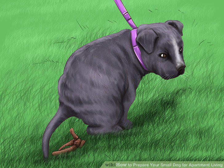 Step 12