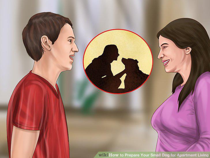 Step 14