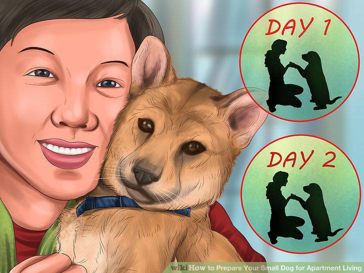Step 15