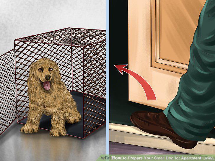 Step 10