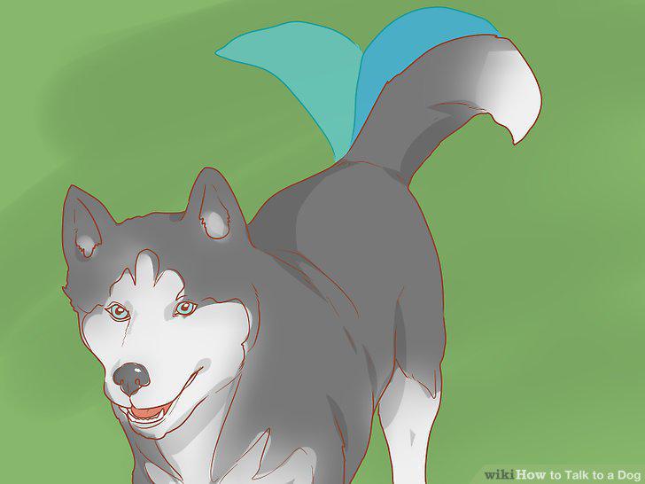 Step 11