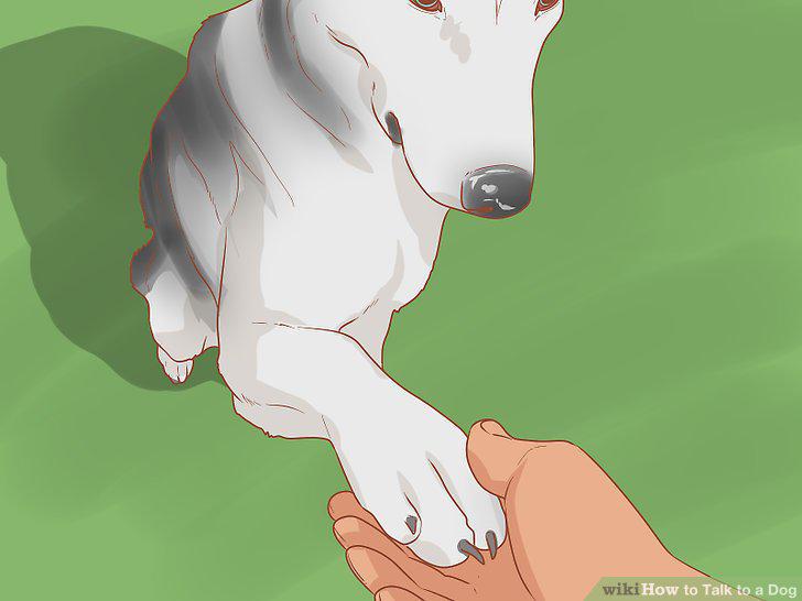 Step 7