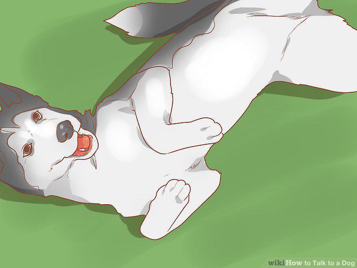 Step 8