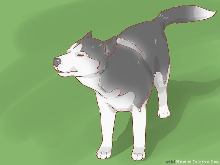 Step 9