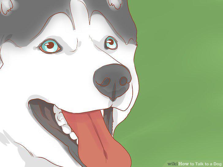 Step 10