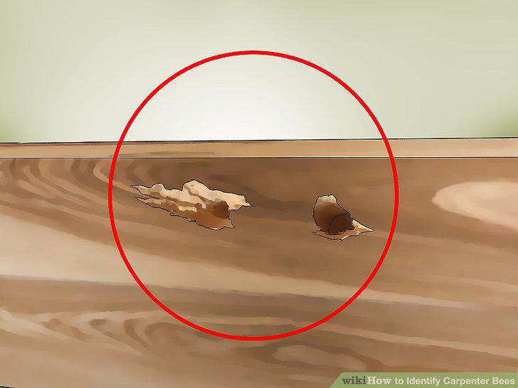Step 11