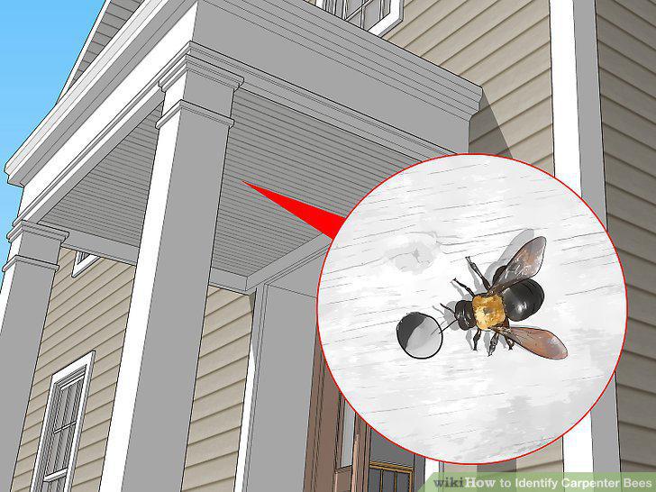 Step 9