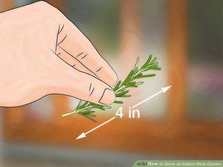 Step 16