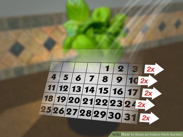 Step 22