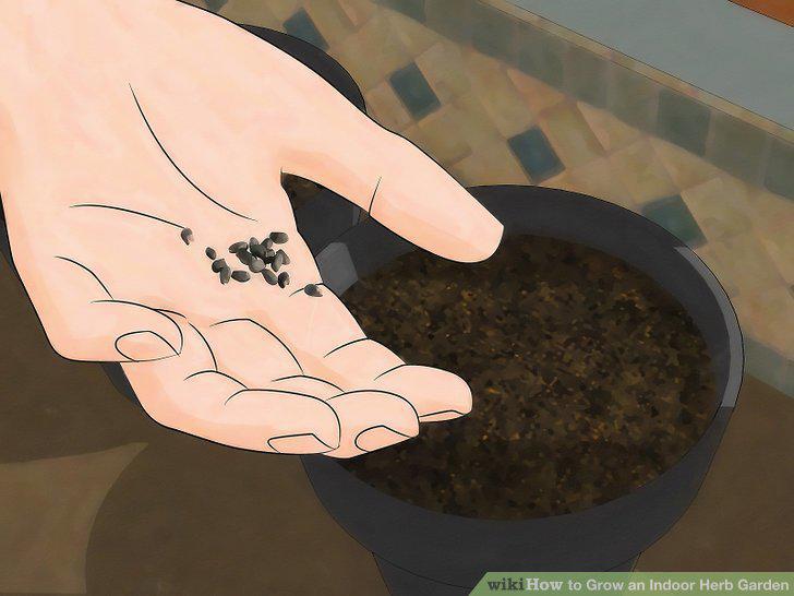 Step 5