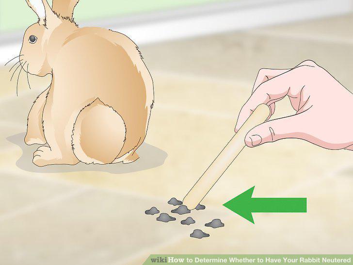 Step 11